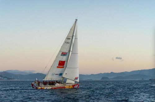 海上茶叶纵贯线 陆路国际货运代理业务的战略支点与时代新章