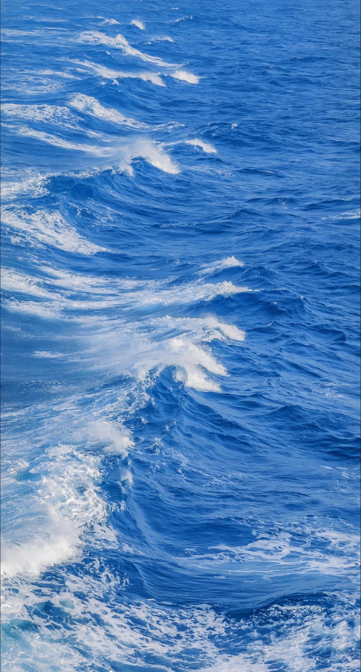 海上漂，心飞扬——探索陆路国际货运代理业务的独特魅力