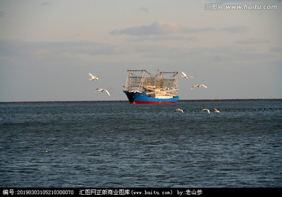 海上生辉 航空 当海洋与天空的智慧相遇