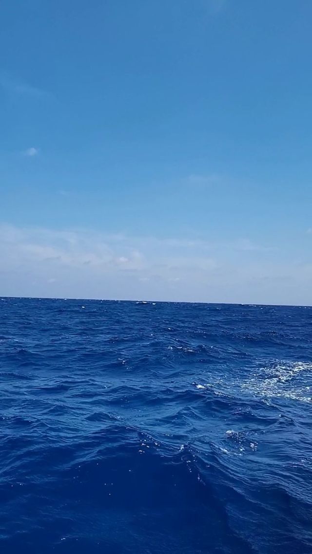 海色与货运 天气之于蓝，策略之于行