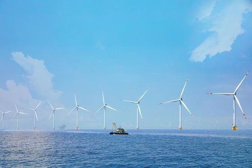 向海筑网 5G助推海上风电高质量发展